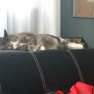 Meet your Posher, Scott